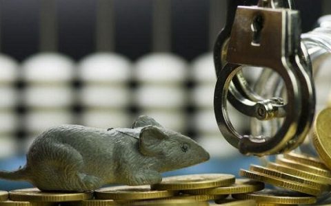 中财期货免费直播